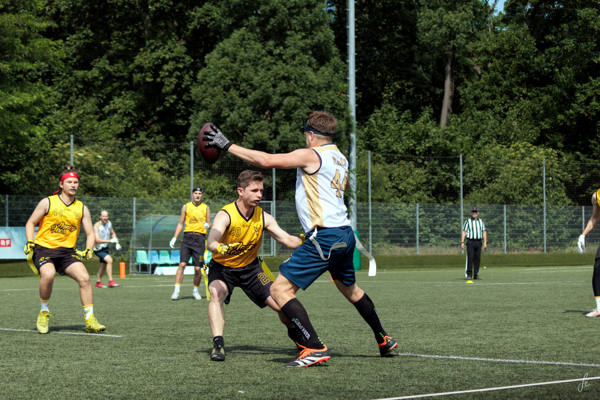 IMG 4557
