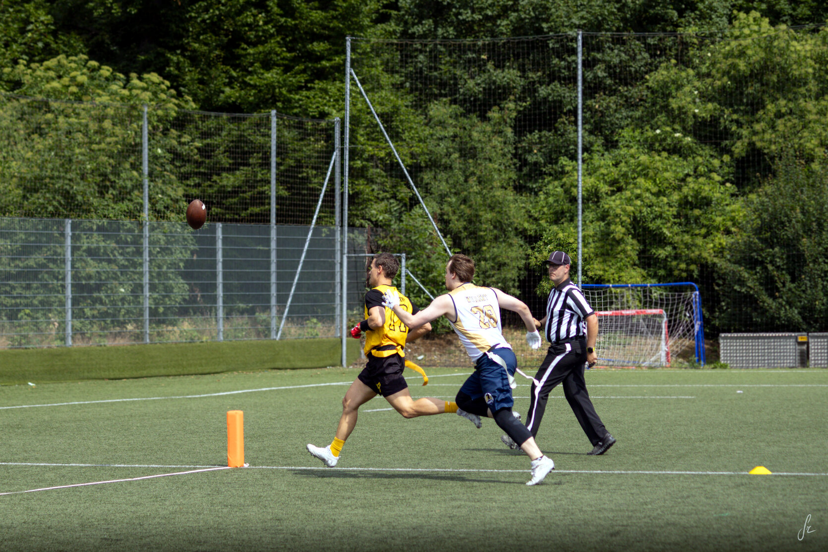 IMG 4579