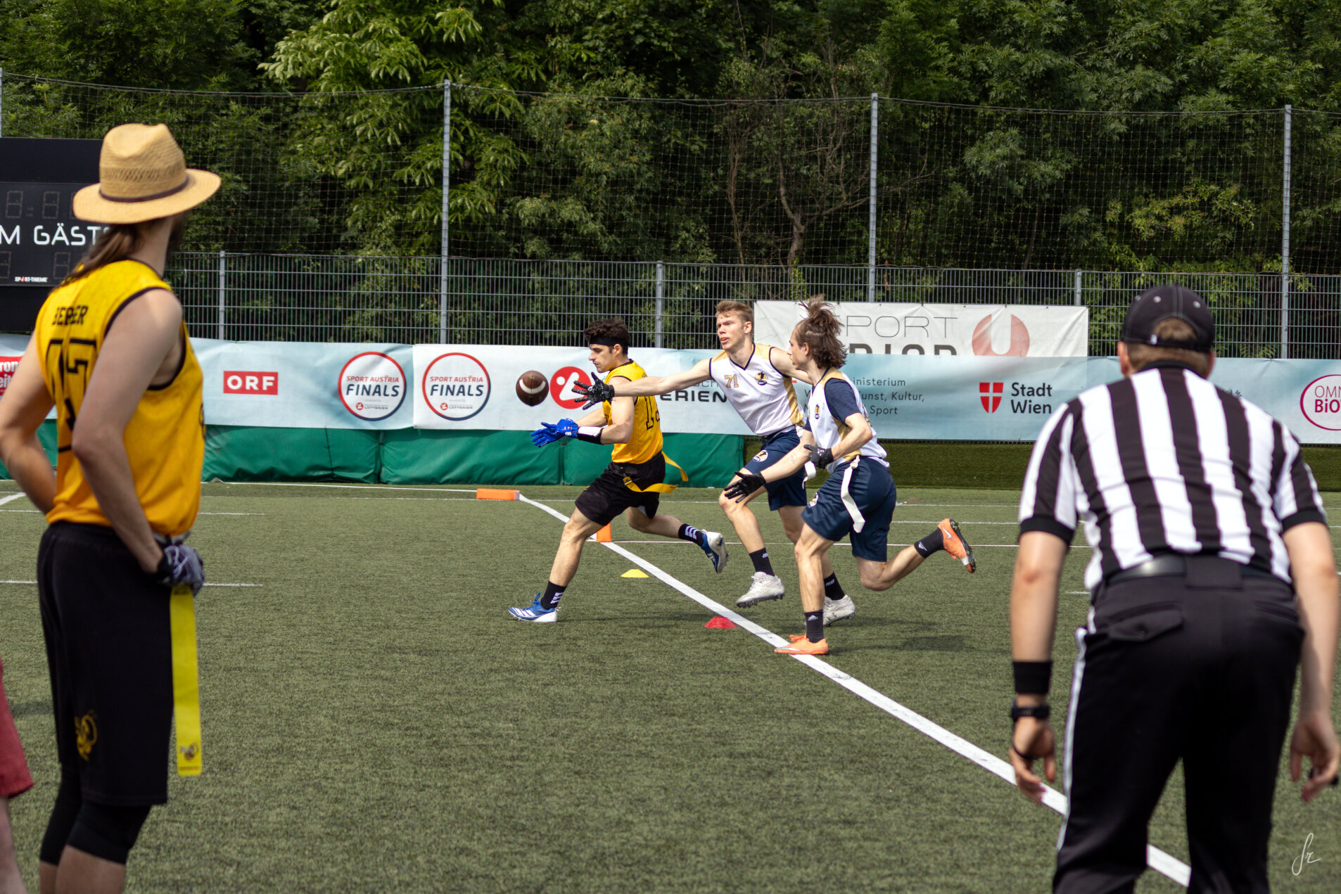 IMG 4599