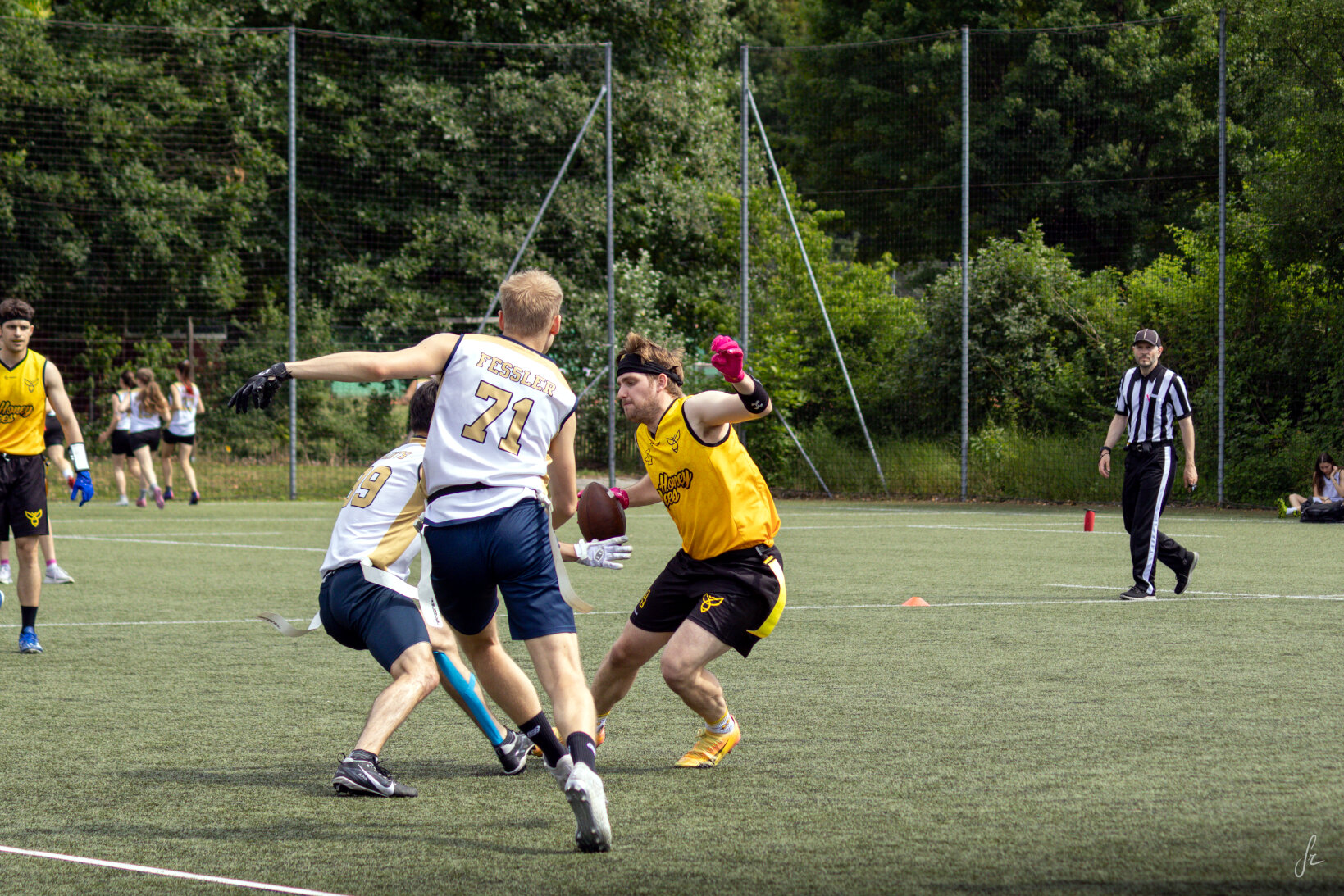 IMG 4618