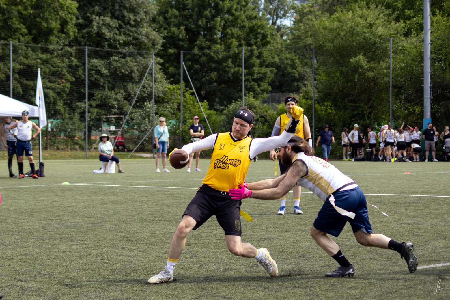 IMG 4629